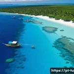 Home 19 투발루와 주변 섬 비교 - A panoramic aerial view of Tuvalu’s nine small atolls and islands scattered across the vast Pacific ...